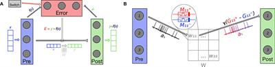 Learning to Approximate Functions Using Nb-Doped SrTiO3 Memristors